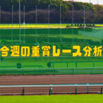 日経新春杯2023過去データからの分析